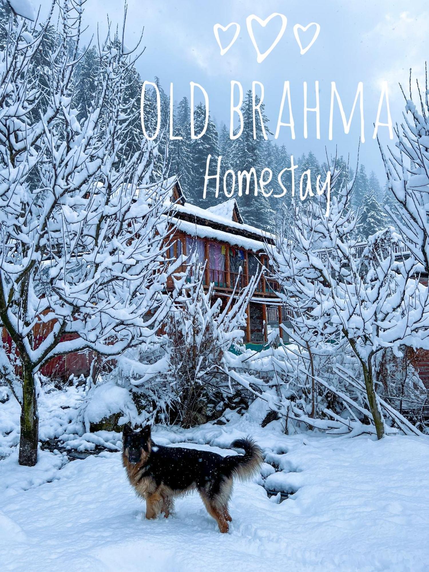 Kalgha Old Brahma Homestay מראה חיצוני תמונה